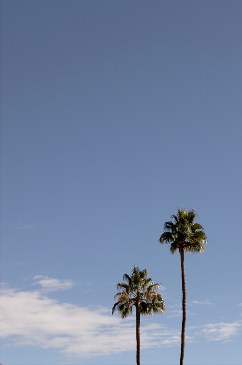 Palms of Palm Springs