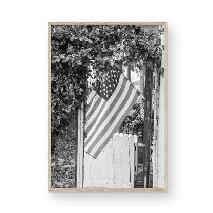 Balboa island Flag Monochrome