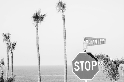 Ocean Blvd Monochrome