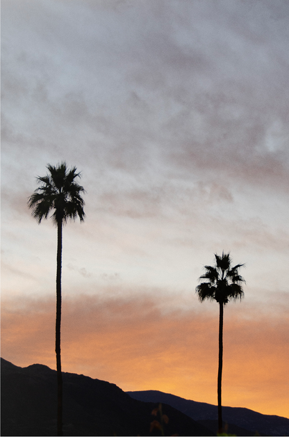 Palm Springs Sunset