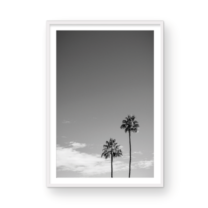 Palms of Palm Springs Monochrome