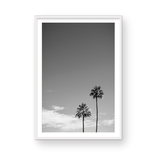 Palms of Palm Springs Monochrome