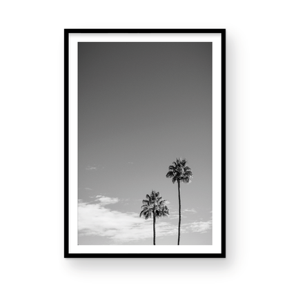 Palms of Palm Springs Monochrome