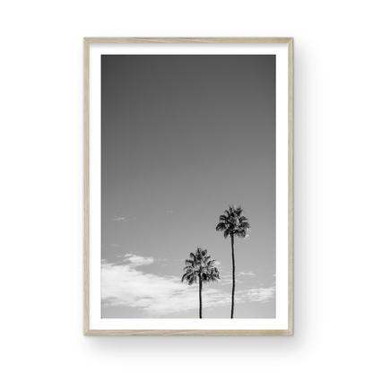 Palms of Palm Springs Monochrome