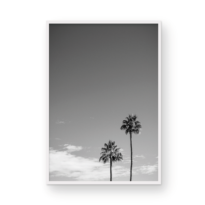 Palms of Palm Springs Monochrome