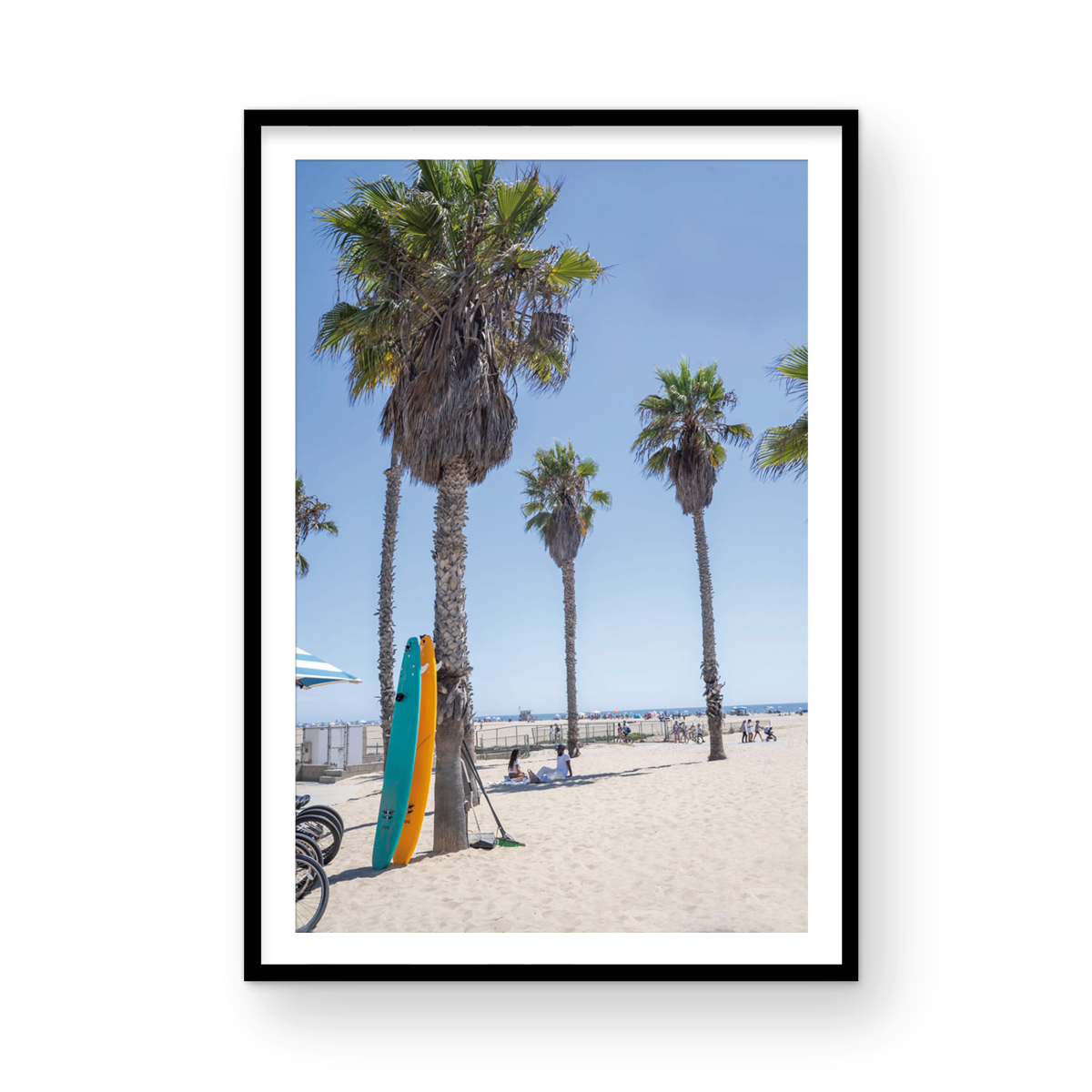 Santa Monica surfboards