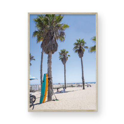 Santa Monica surfboards