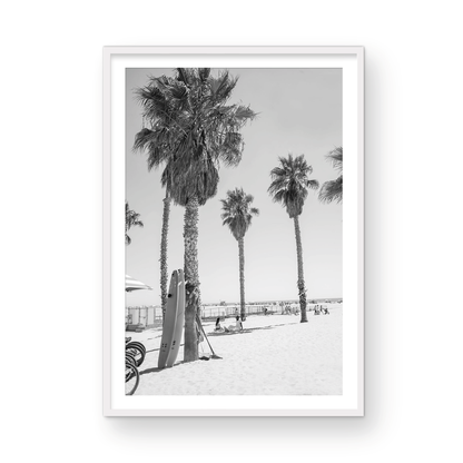 Santa Monica surfboards Monochrome