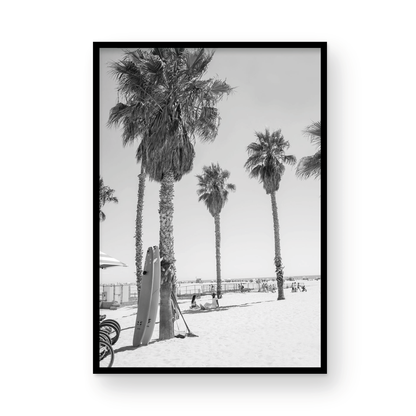 Santa Monica surfboards Monochrome