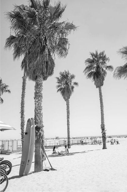 Santa Monica surfboards Monochrome