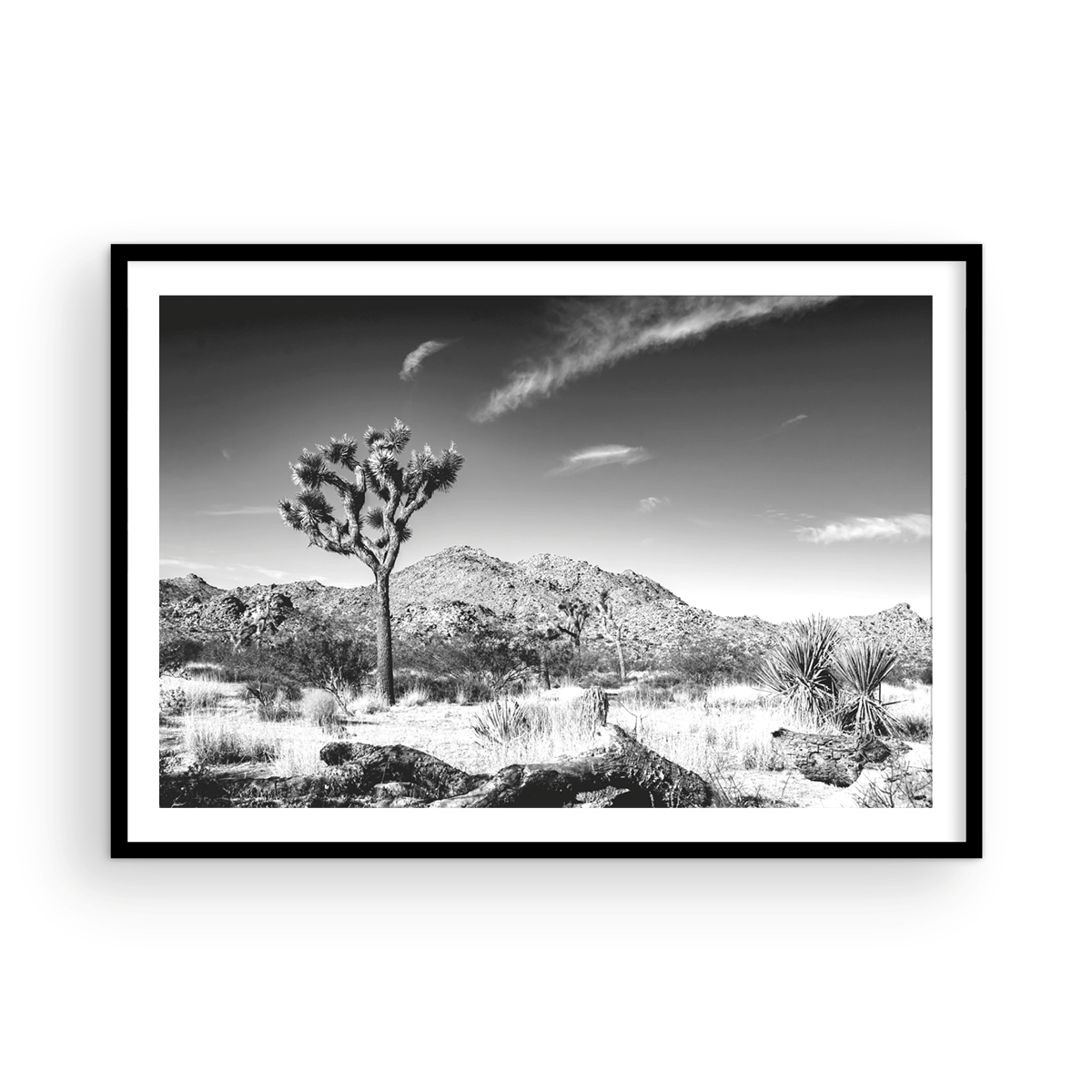 Joshua Mountain Monochrome