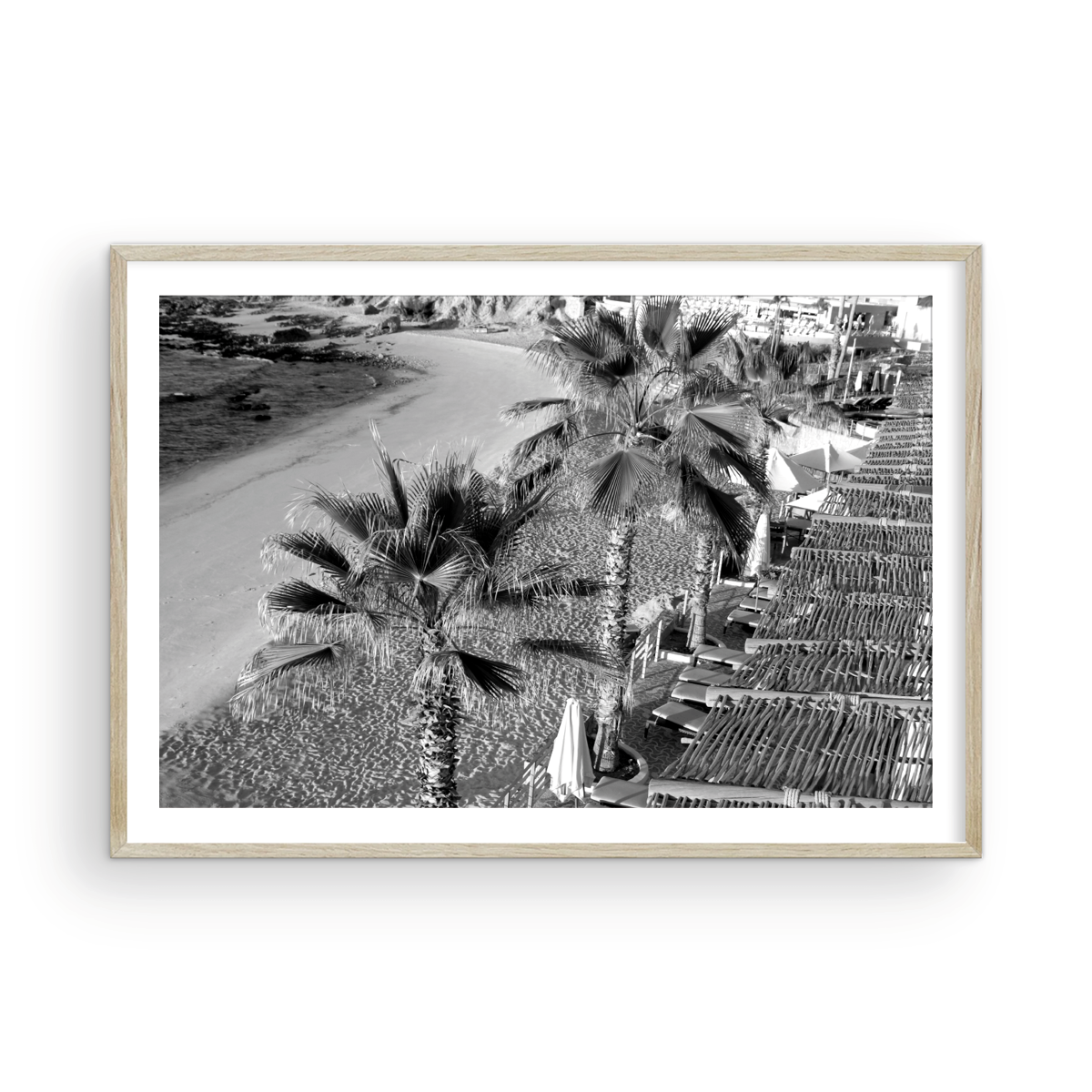 Cabo Palm Monochrome