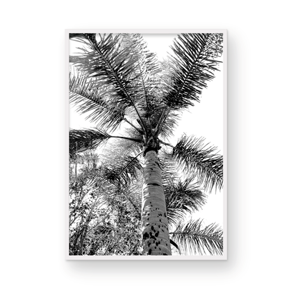 Find me under the palms Monochrome