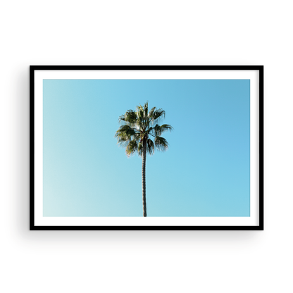 Horizontal Palm