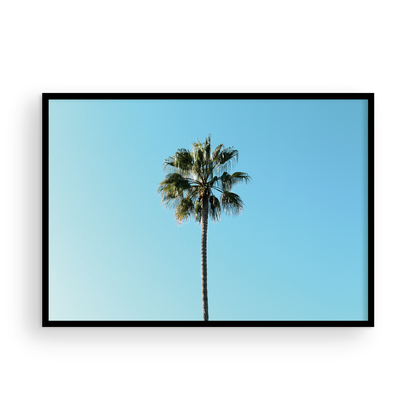 Horizontal Palm