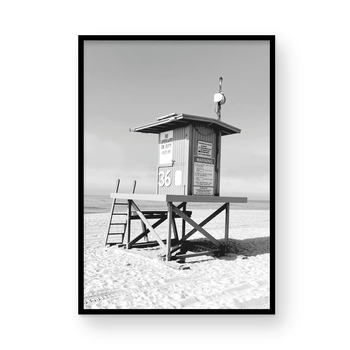 Lifeguard Monochrome