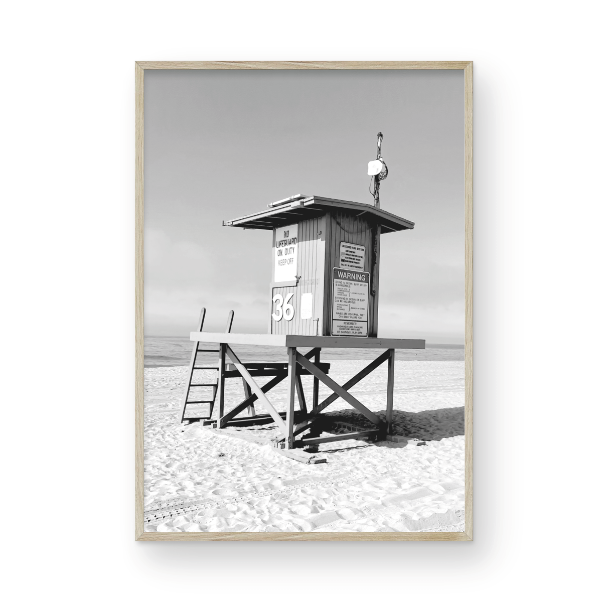 Lifeguard Monochrome