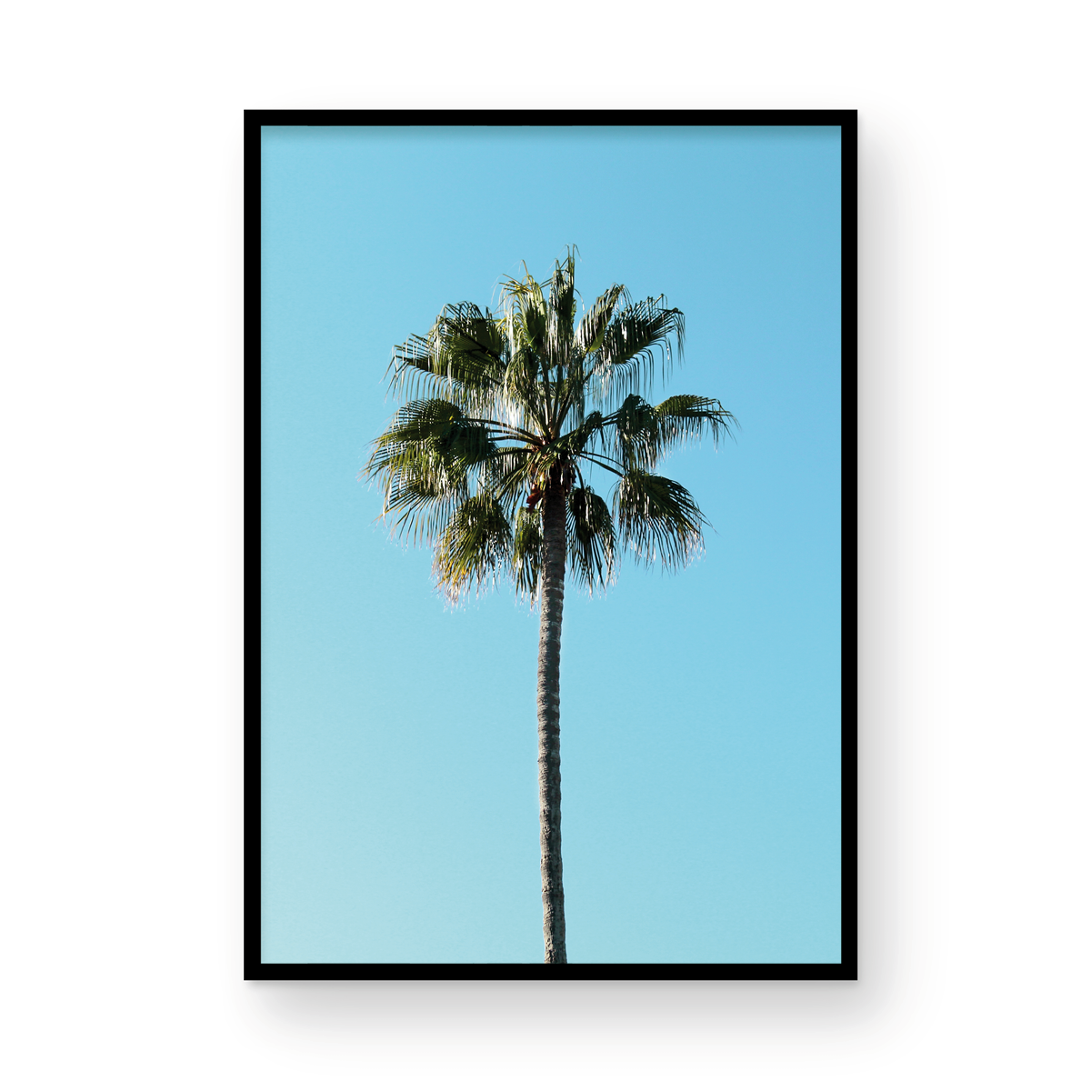 Vertical Palm